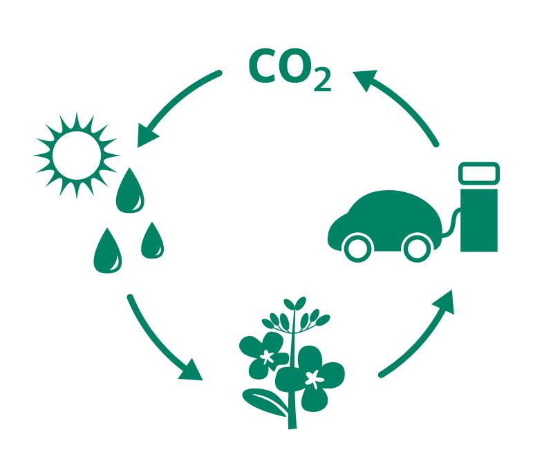 Kolcykel för Ecobränsle RME